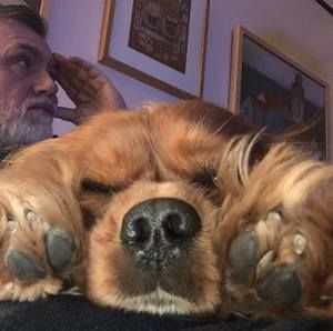 Meet your Posher, Tom